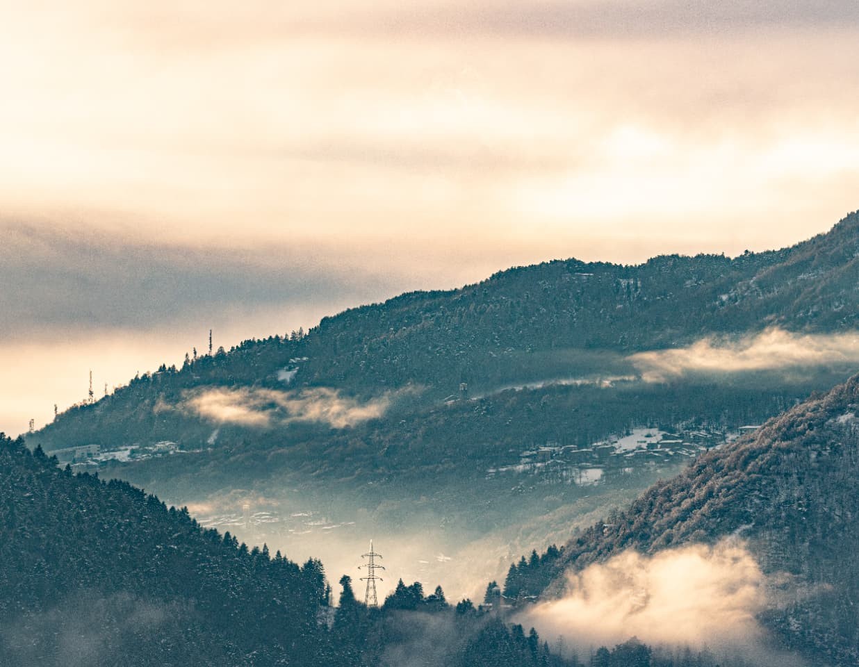 Forested mountain valley with low cloud at first light